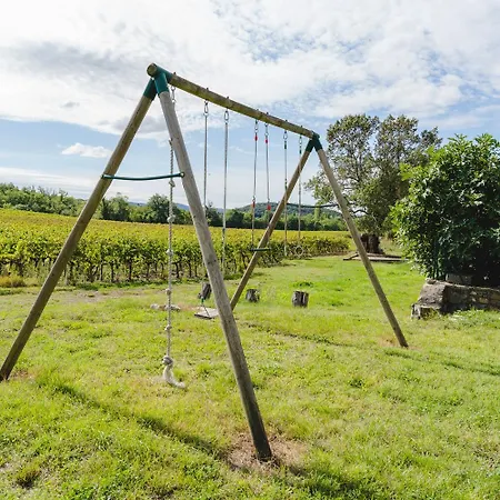Ferienhaus Au Milieu Des Vignes, Piscine, Jacuzzi, Climatisation Fressac